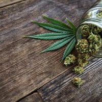 Cannabis bud pouring out of a glass jar on wood background